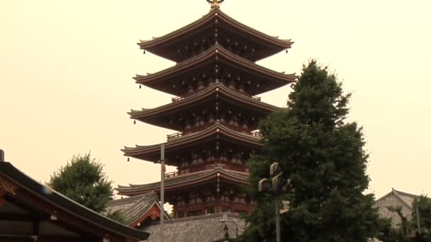 Five Storied Pagoda e Kannon do Temple a Tokyo Giappone — Video Stock